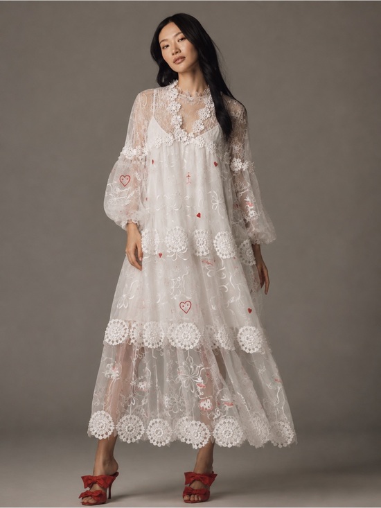 Maeve Dresses & Skirts - NWOT Maeve Anthropologie Sheer 3D Floral Maxi Dress